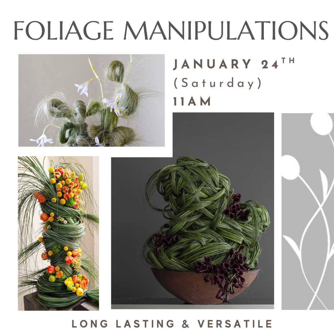 Artful workshop learning how to use foliage and grasses in floral design