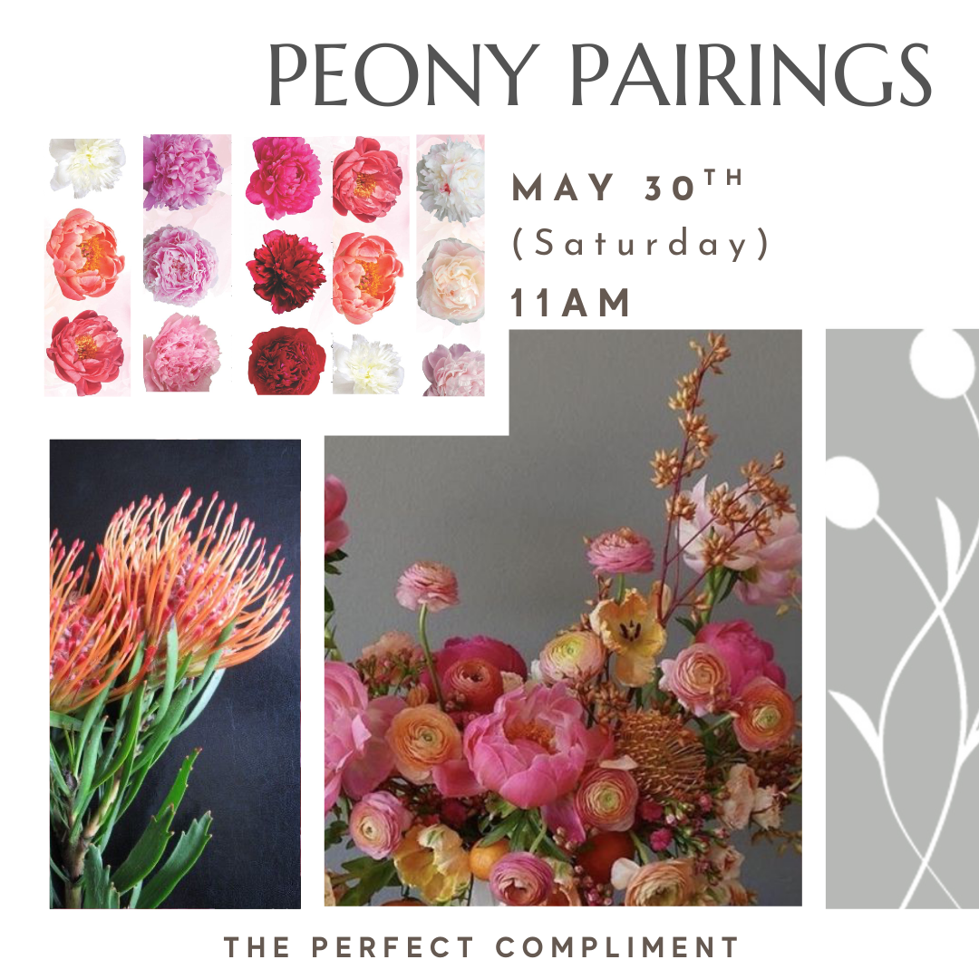 Peony workshop to learn what stems go well with this popular flower