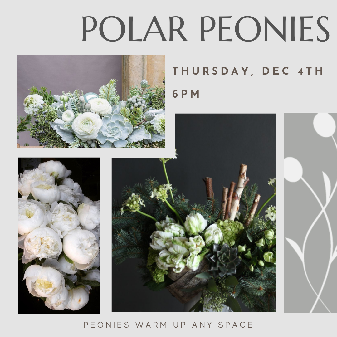 Floral design workshop that focuses on winter whites - specifically white peonies