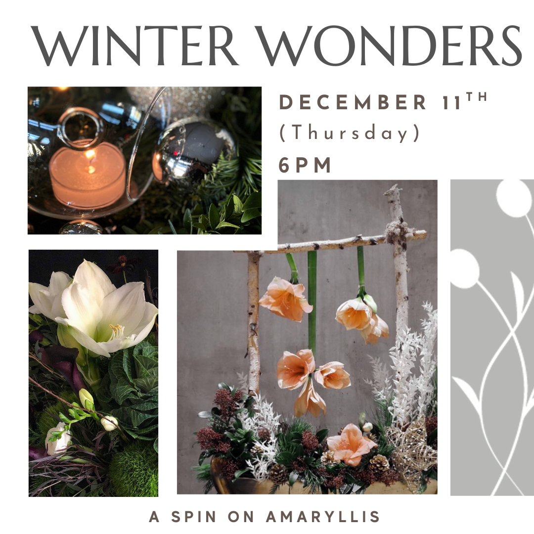 Amaryllis floral design workshop for the holidays