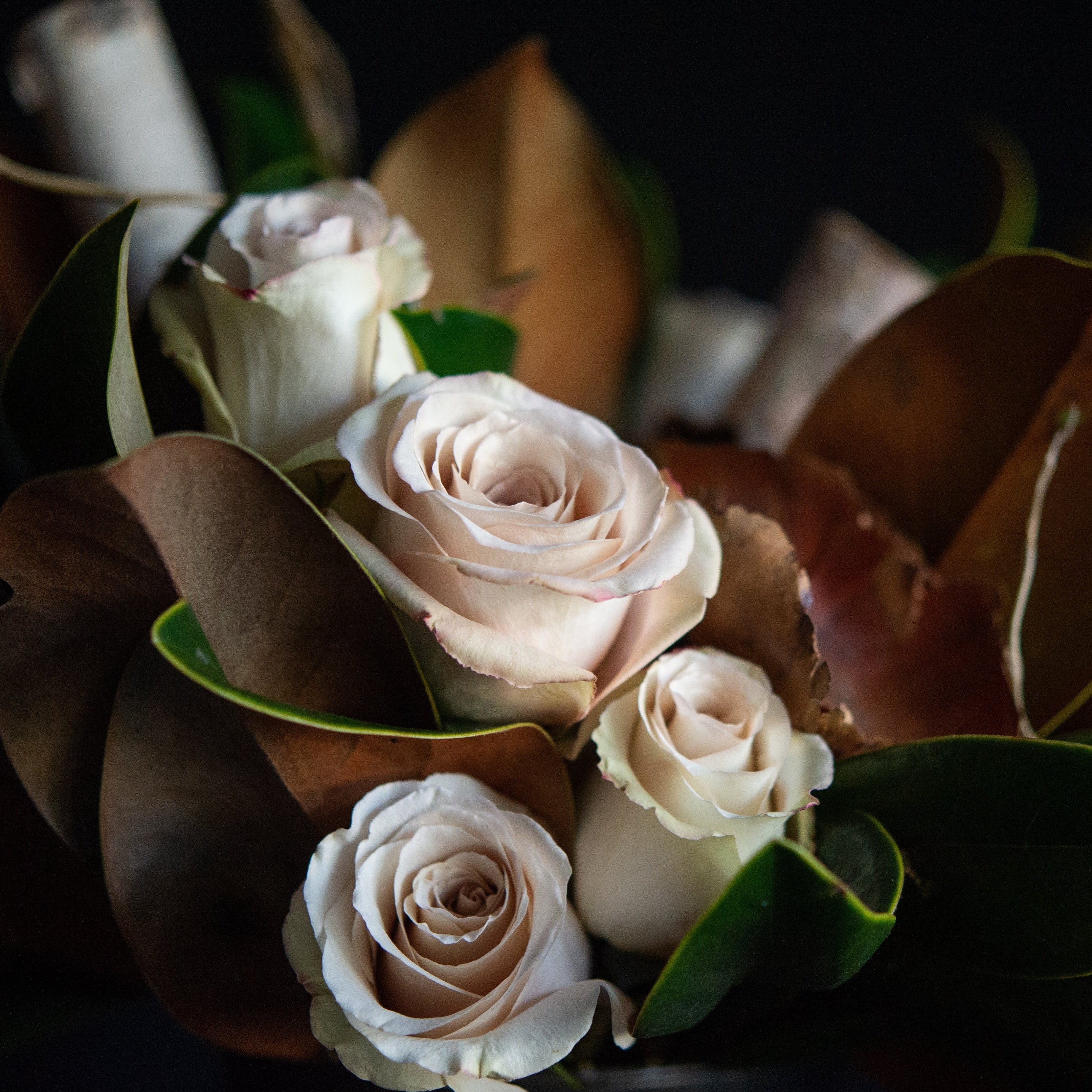 Taupe roses nestled in between magnolia leaves, birch, and curly willow. All around design. created by a local florist
