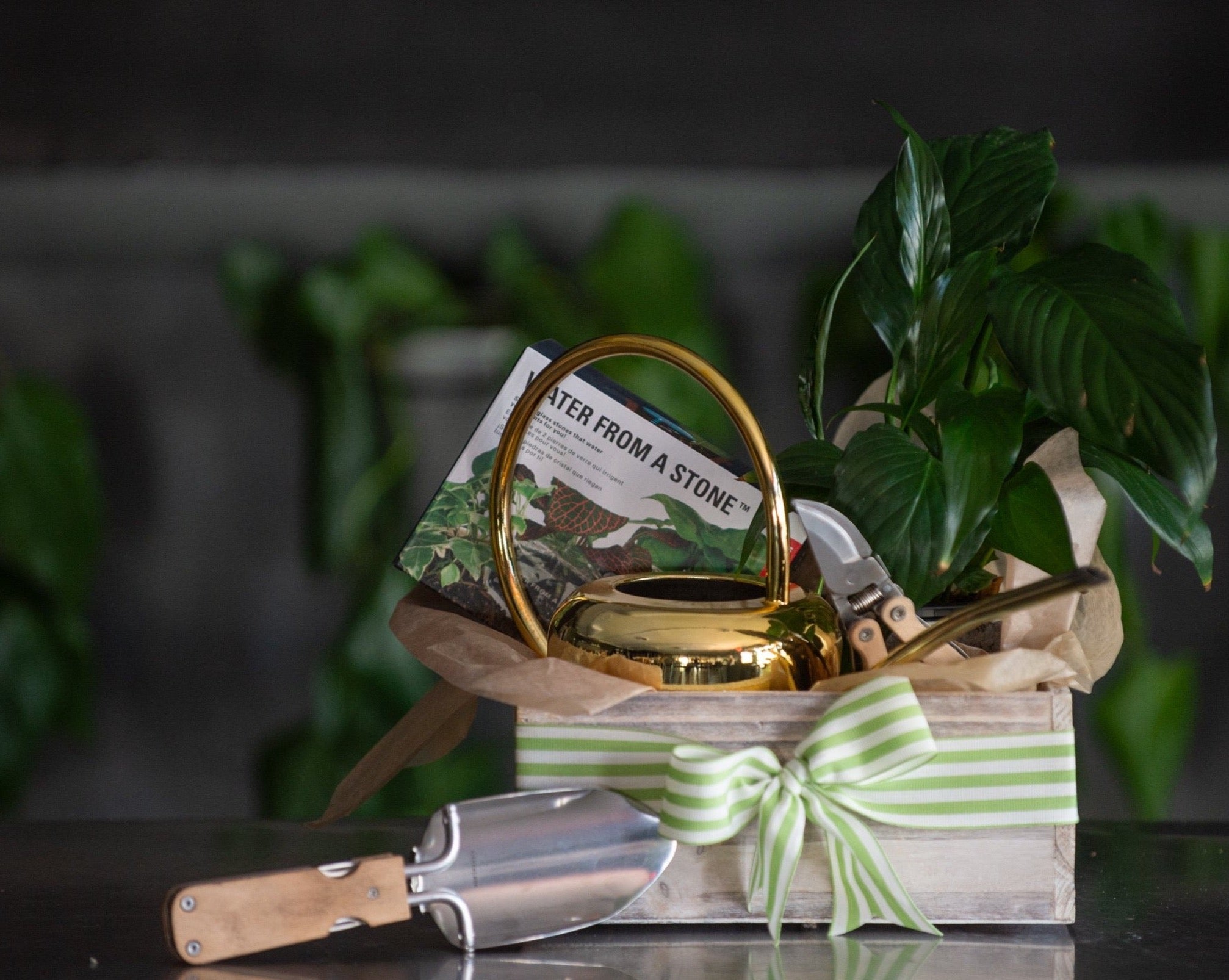 Garden Bounty Box is a wooden gift box filled with a gold watering can, gardening tools, water from a stone, and a potted plant, finished with a bow