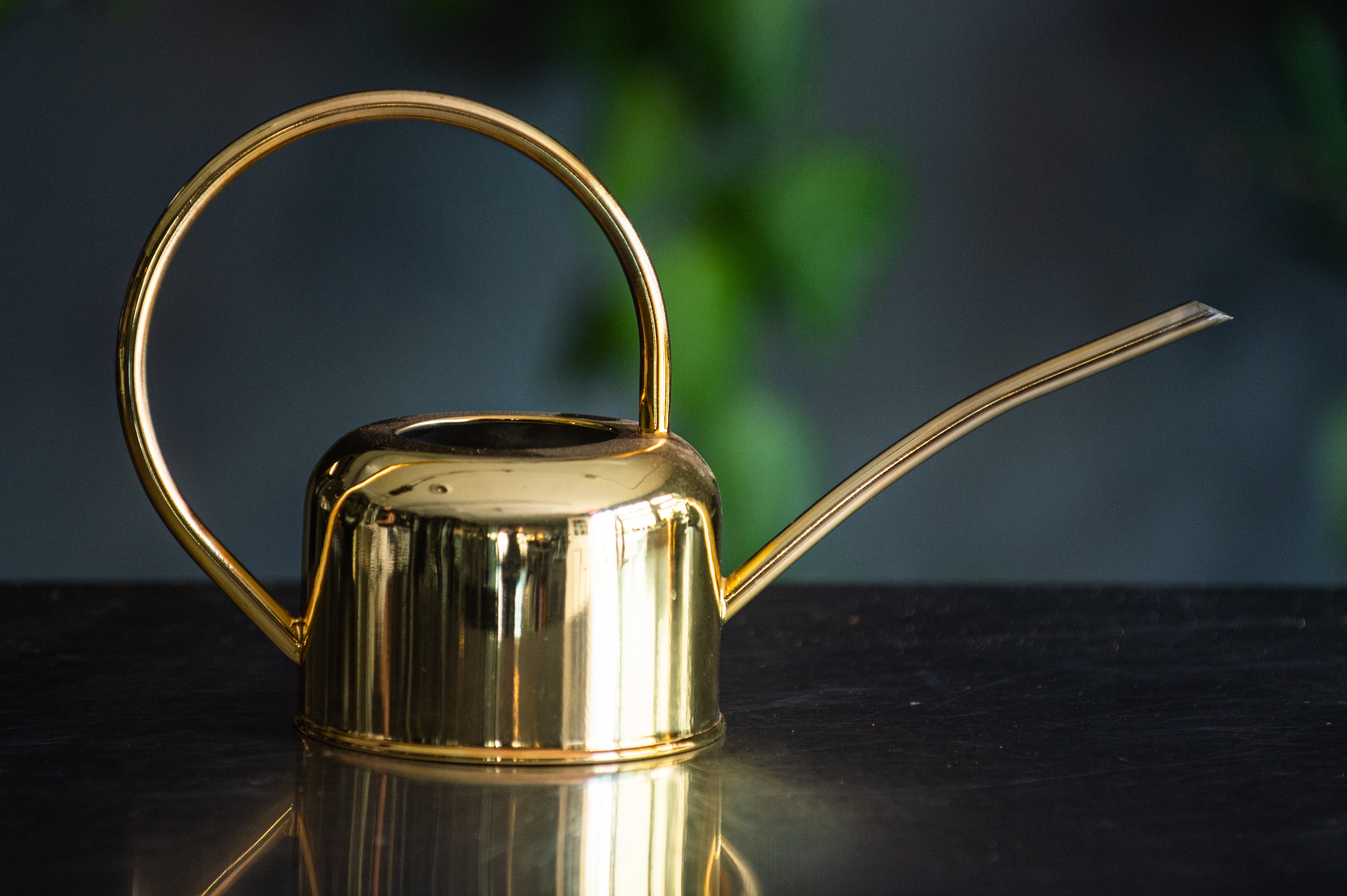 Modern Gold Watering Can