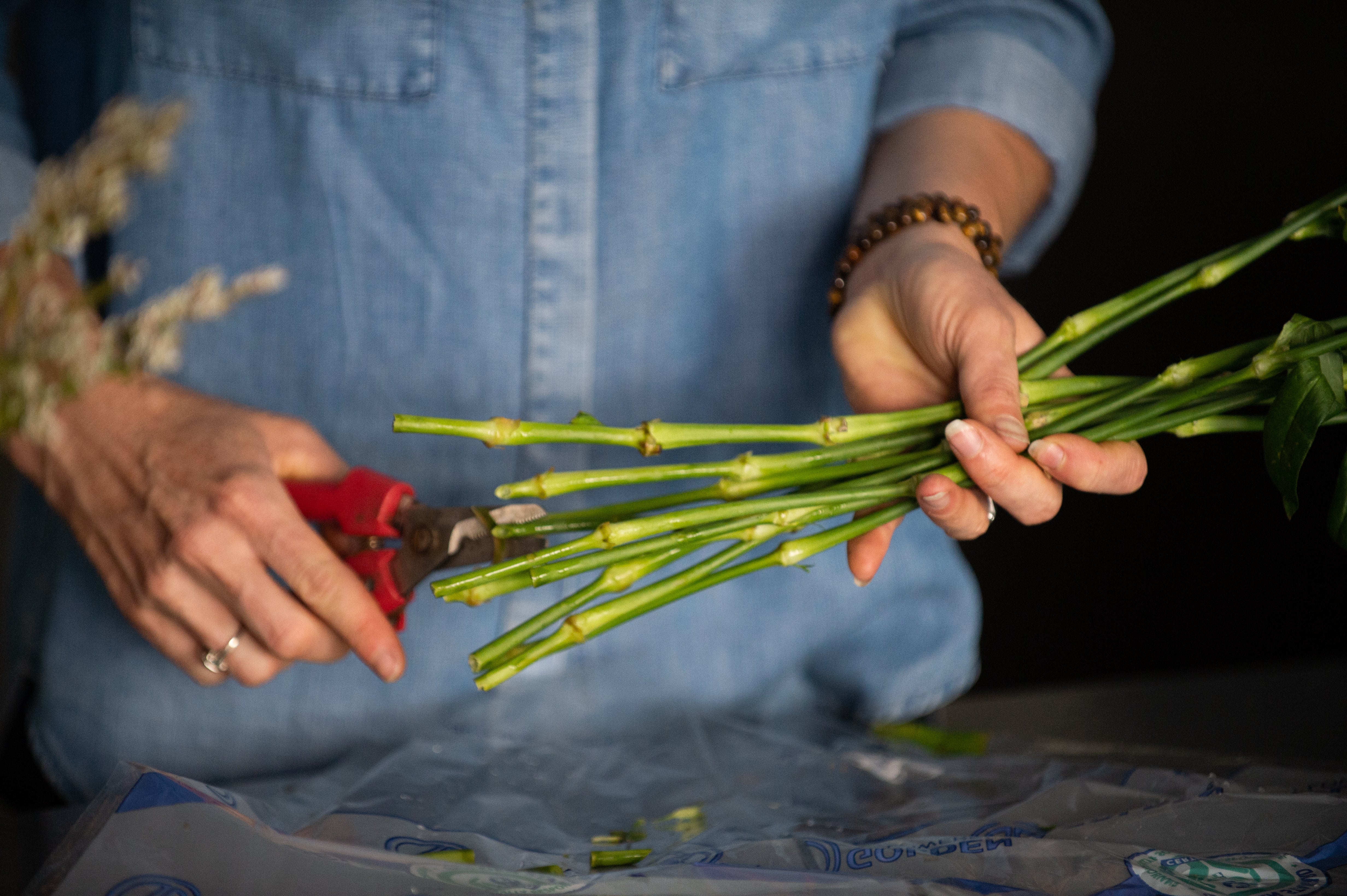 Floral Design Workshops where you can learn the art of floral design from our Lead Designer.