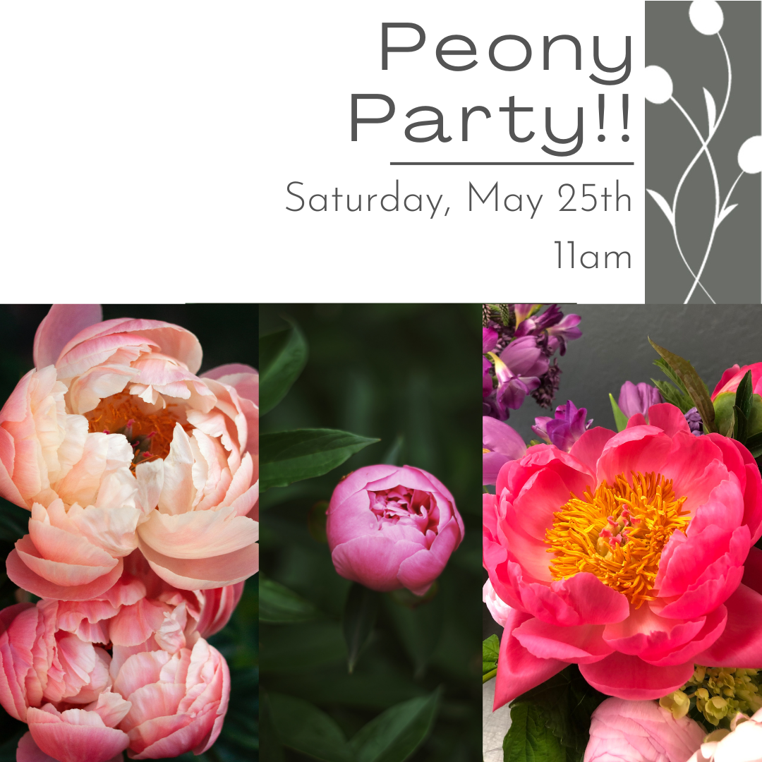 Saturday Peony Flower Workshop