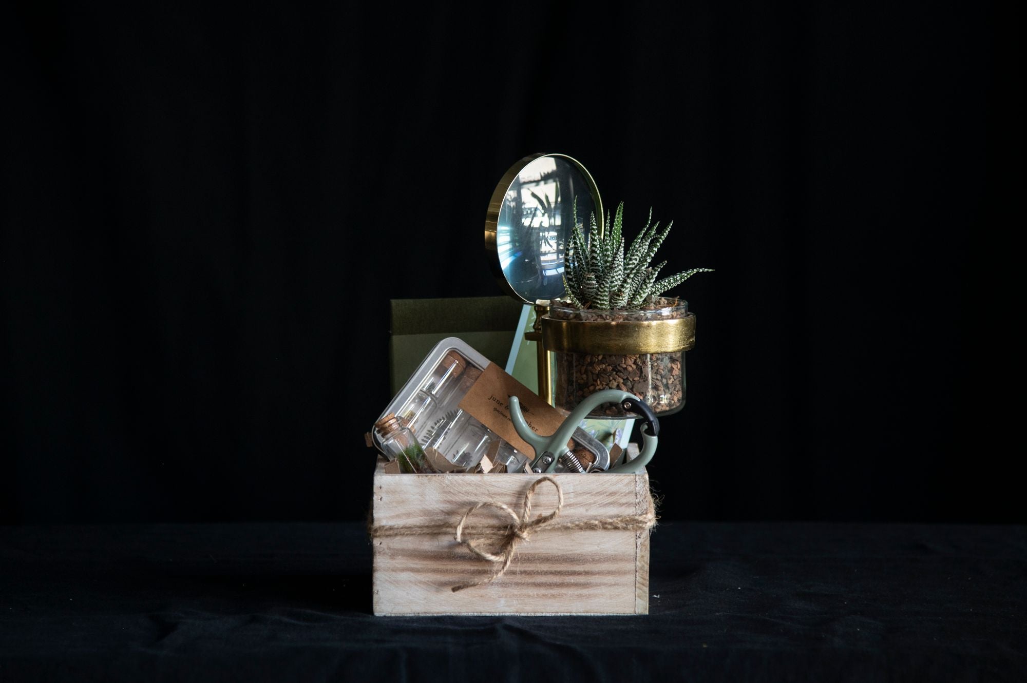Adventure Bounty Box