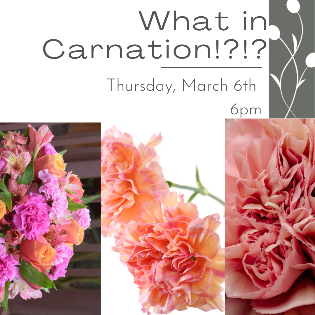 What in Carnation! March 6th