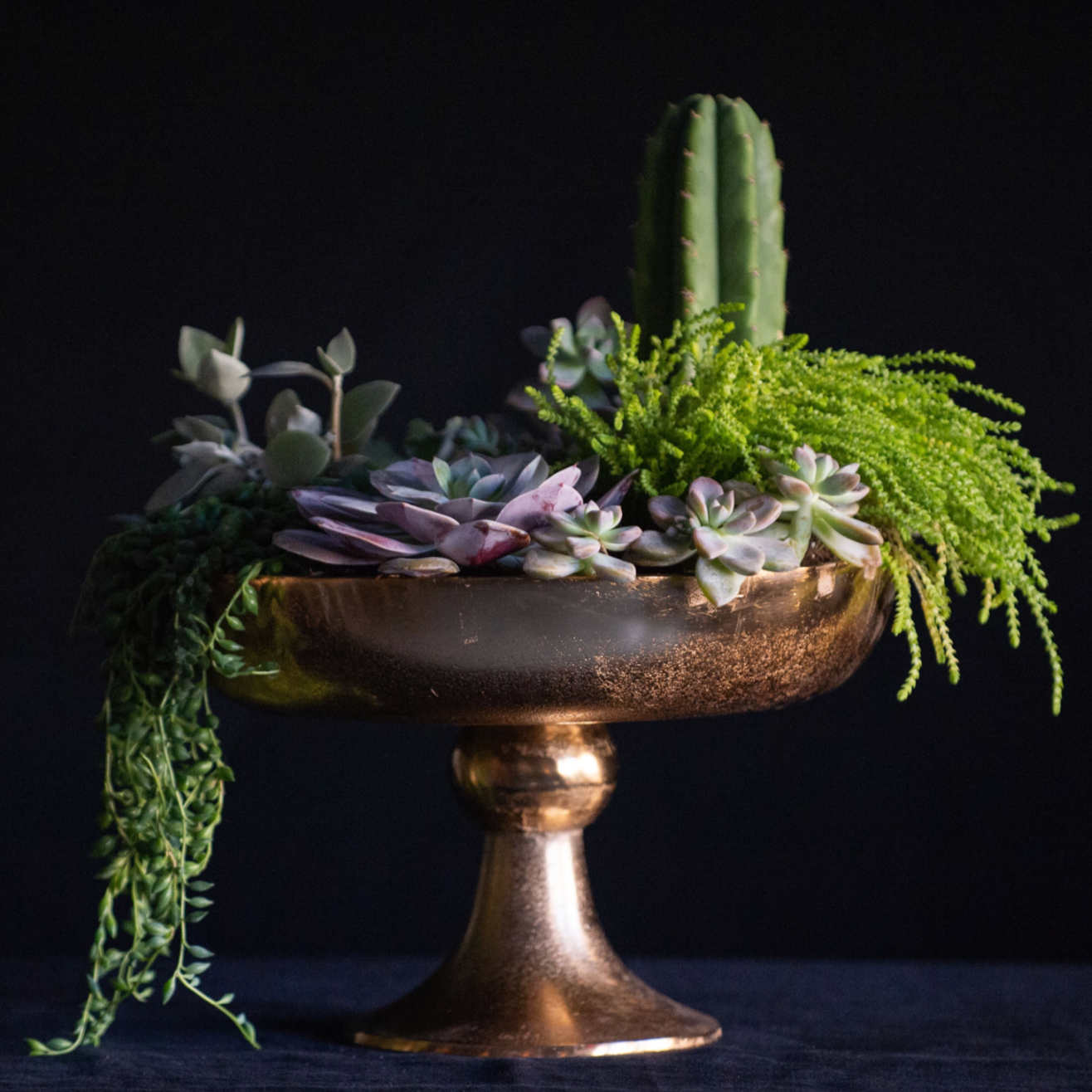 A desert terrarium in a copper pedestal vase