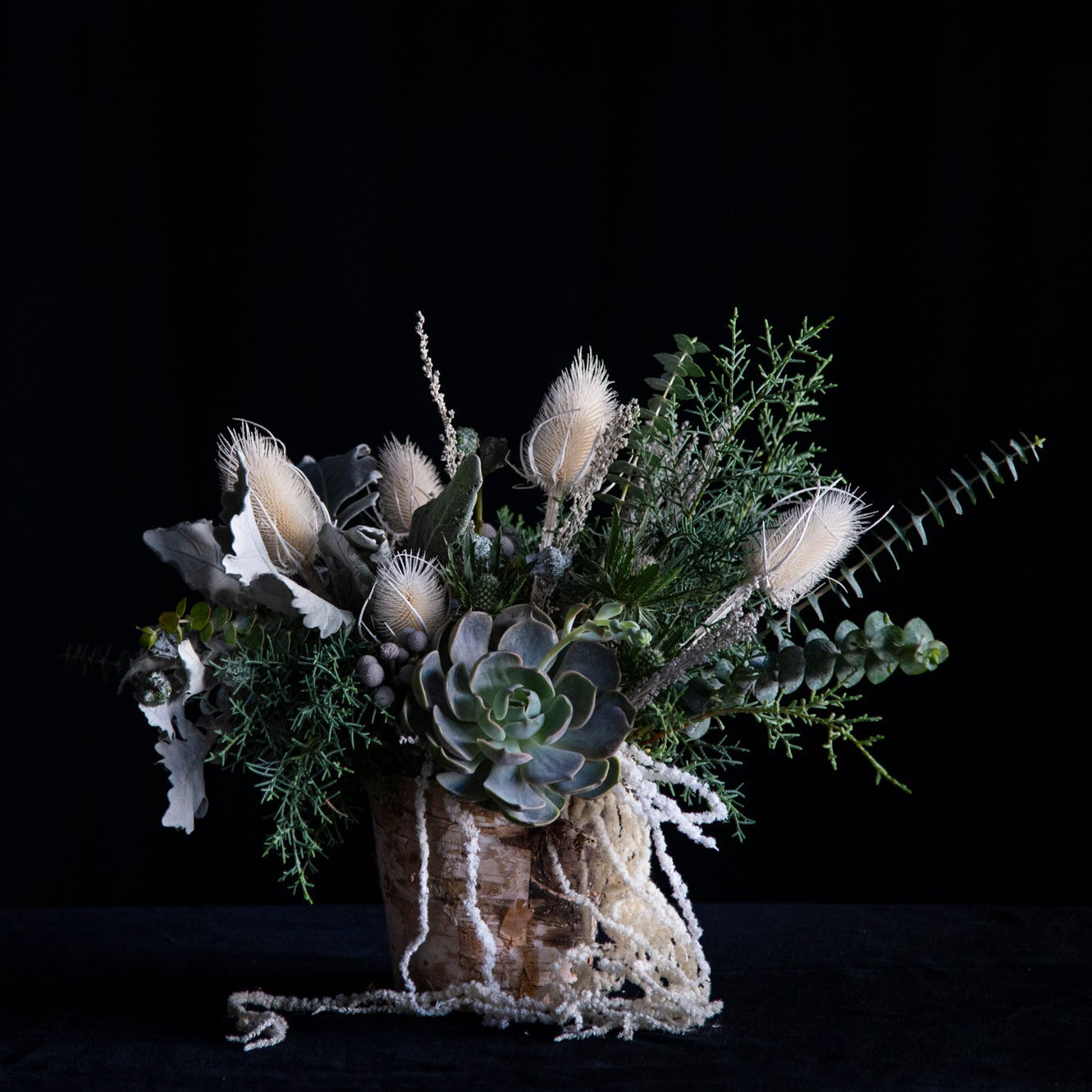 winter morning floral design with succulent 