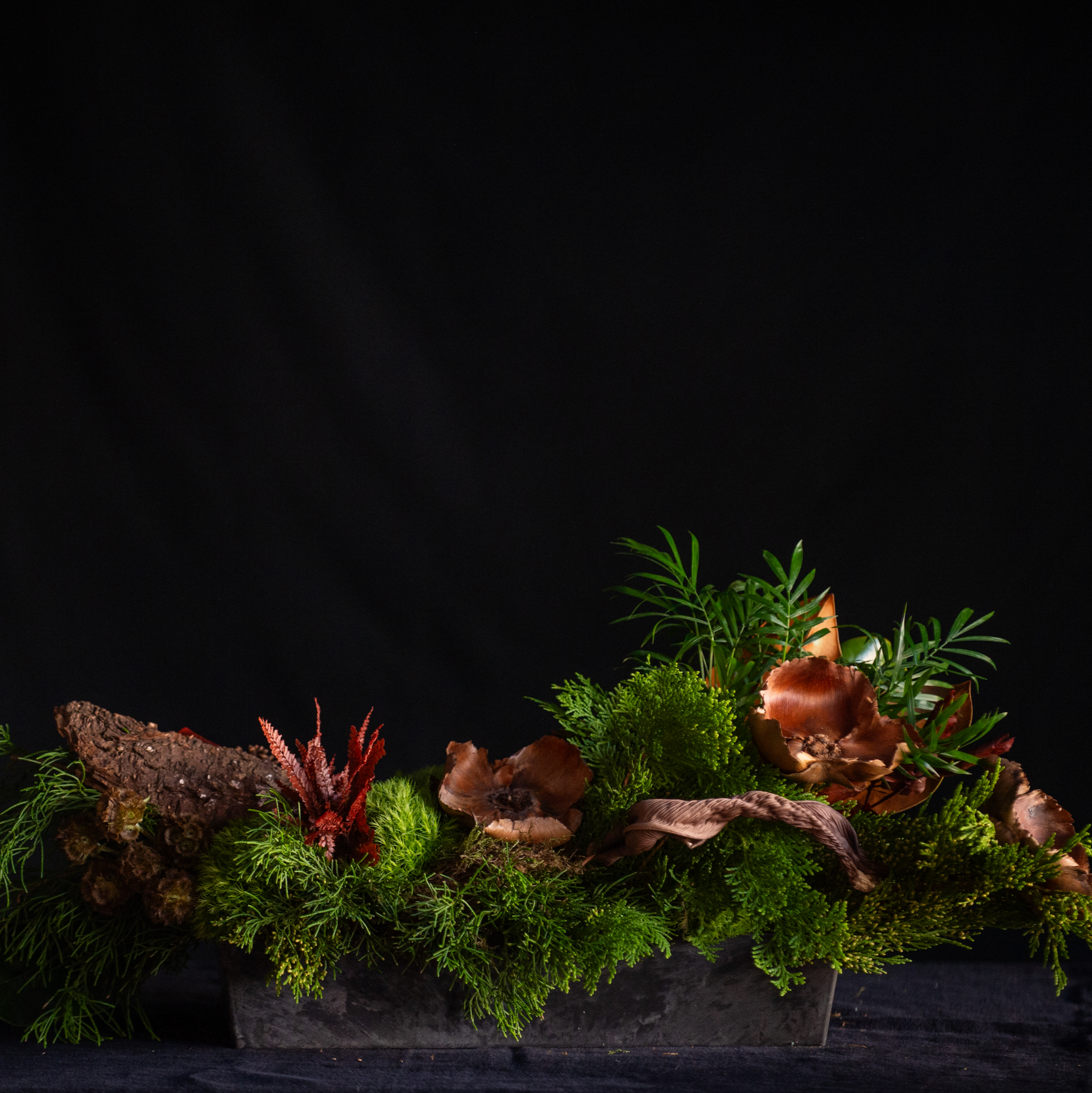 Woodlands forest holiday design of ferns, pods, holiday greens.