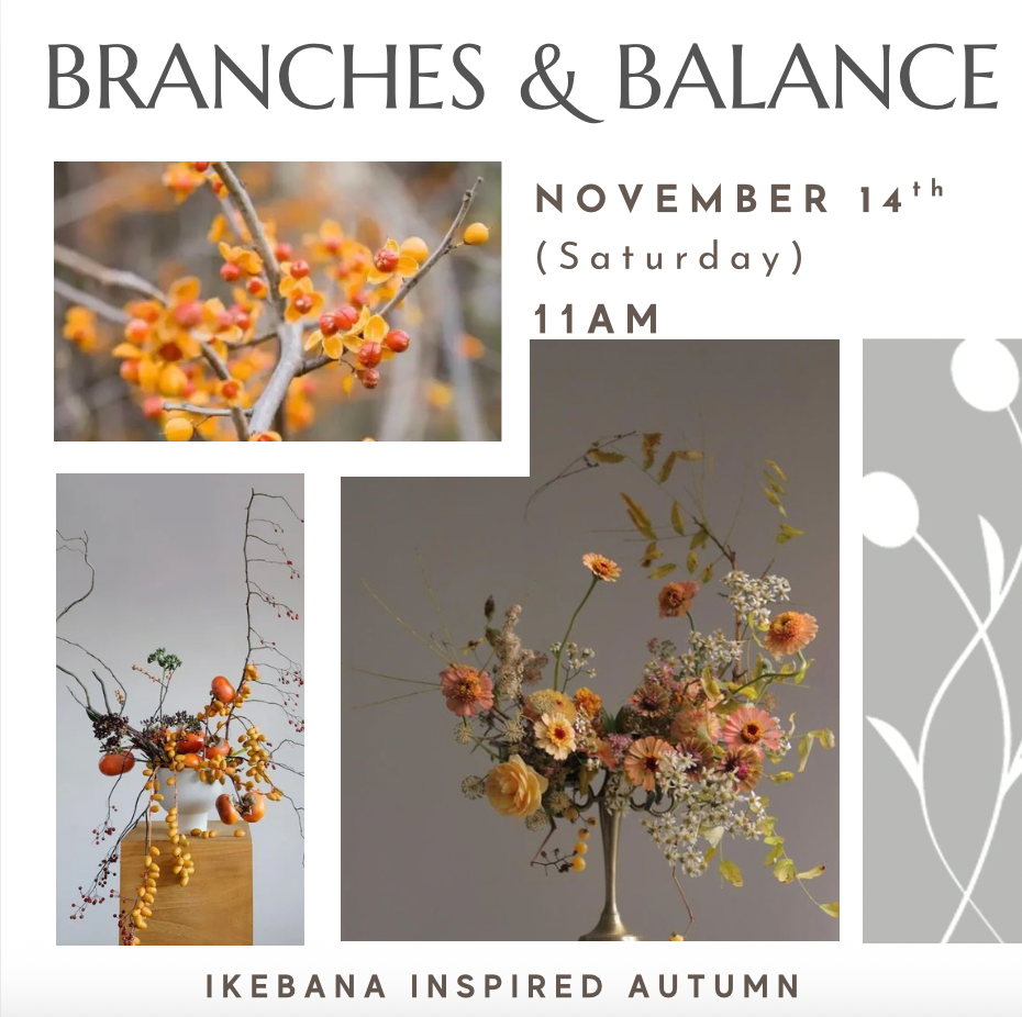 Branches & Balance Nov 14th