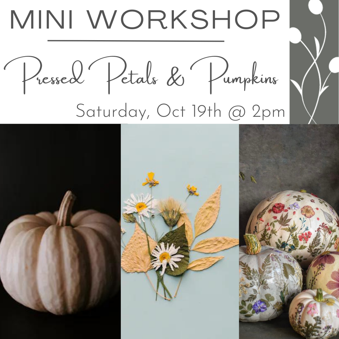 Pressed flower workshop to decorate pumpkins for the Fall season