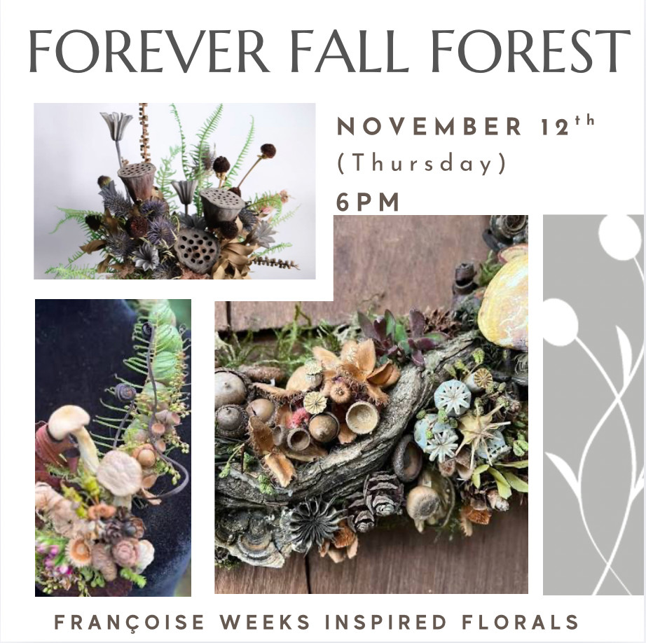 Forever Fall Forest Nov 12th