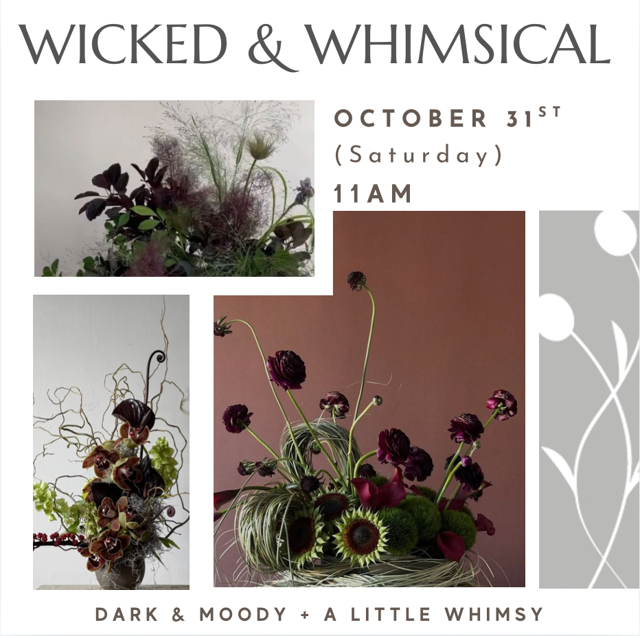 Wicked & Whimsical Oct 31st
