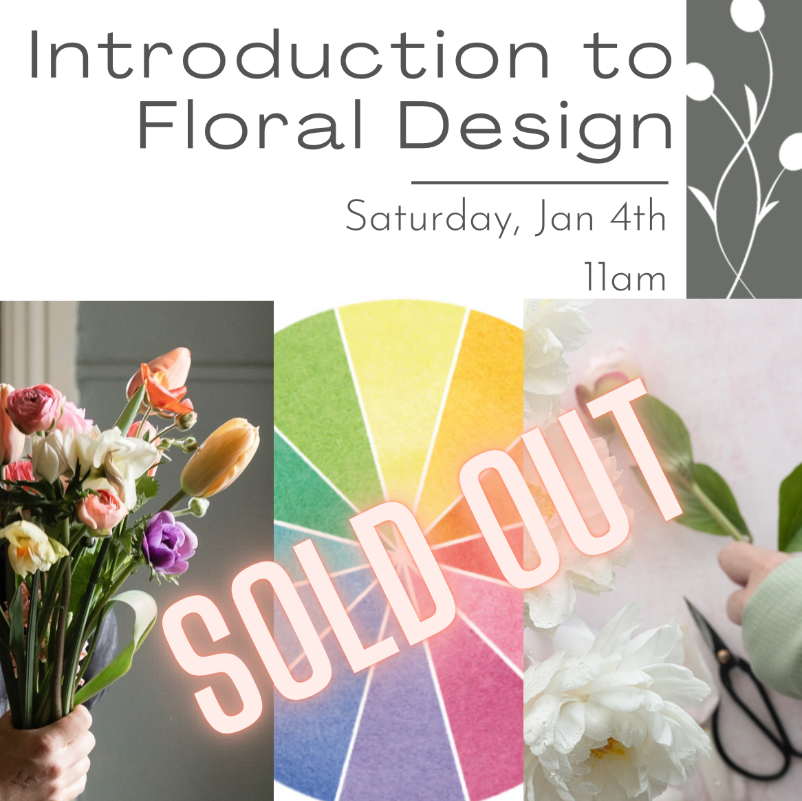 Intro to Floral Design Jan 4th