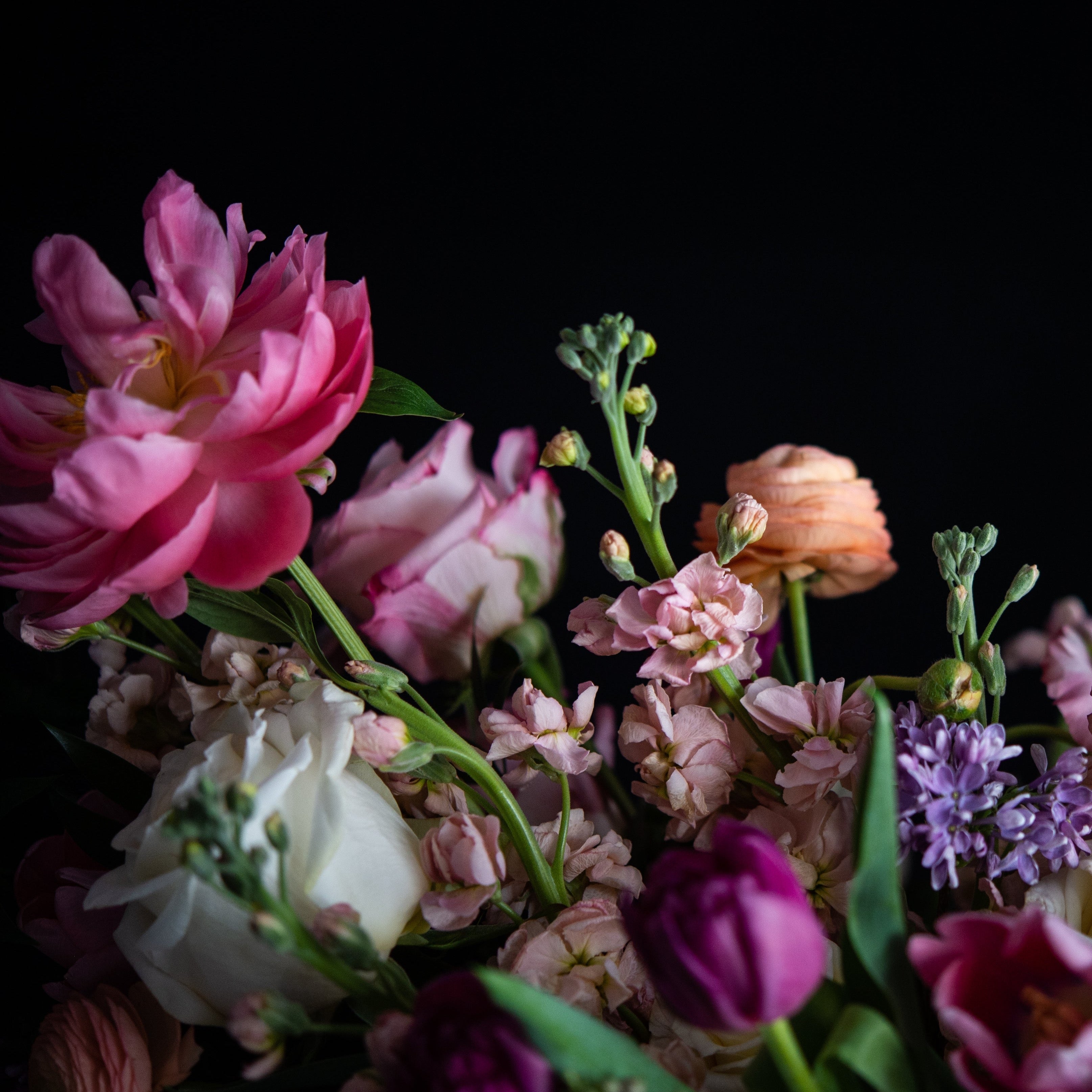 Peonies, lilac, ranunculus, stock, roses, hydrangea for Mothers Day