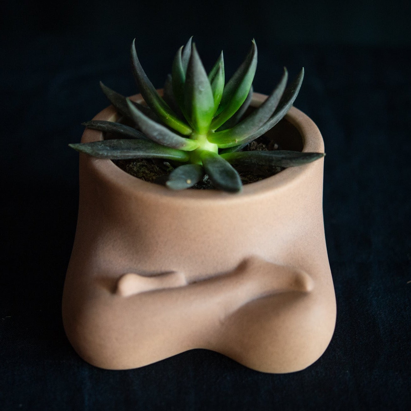 Sitting Namaste Vase with plant