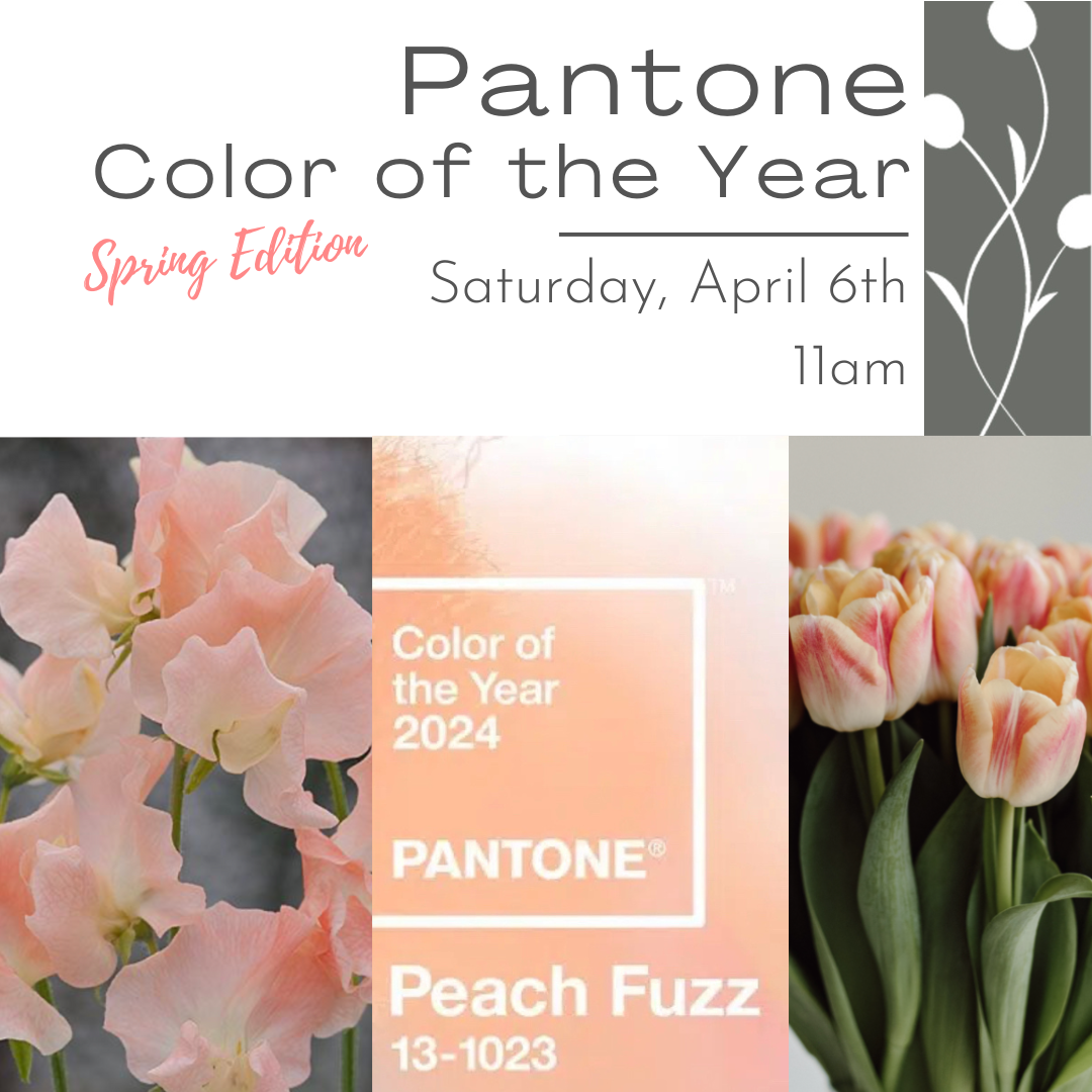 Pantone Color of the Year in Flowers April 6th