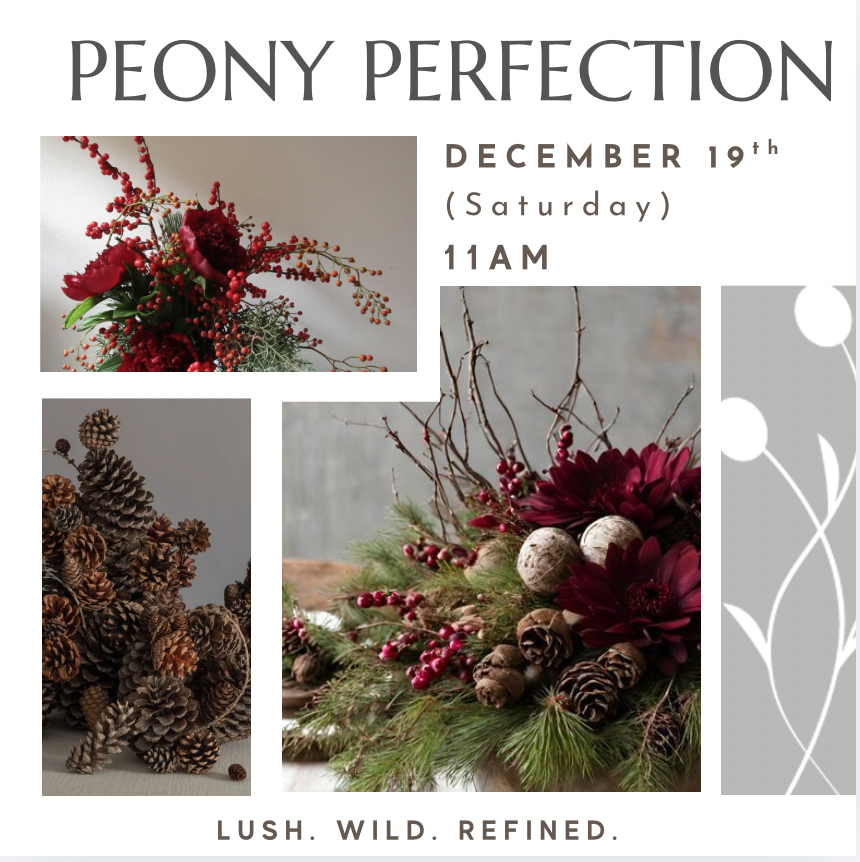 Peony Perfection Dec 19th