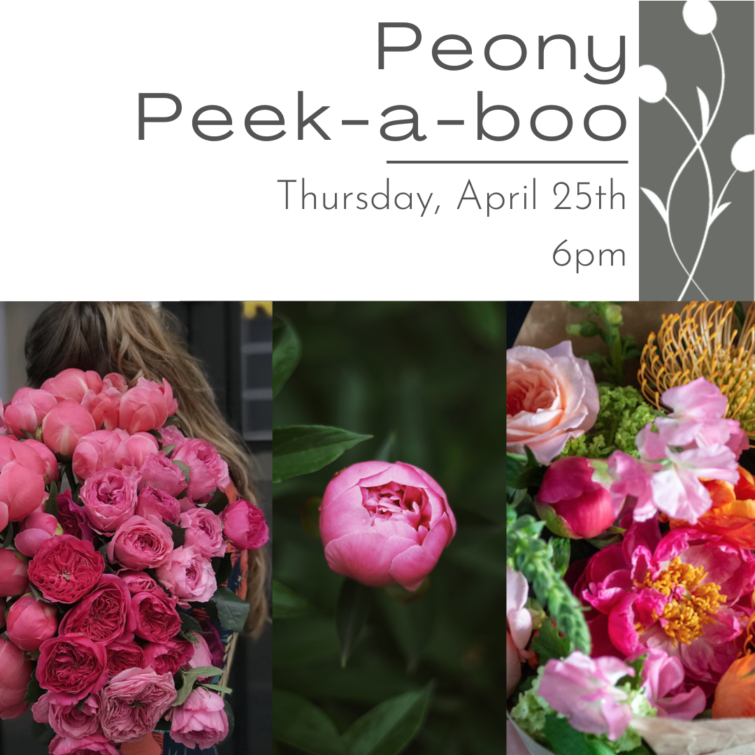 Peony Peek-a-Boo Centerpiece April 25th