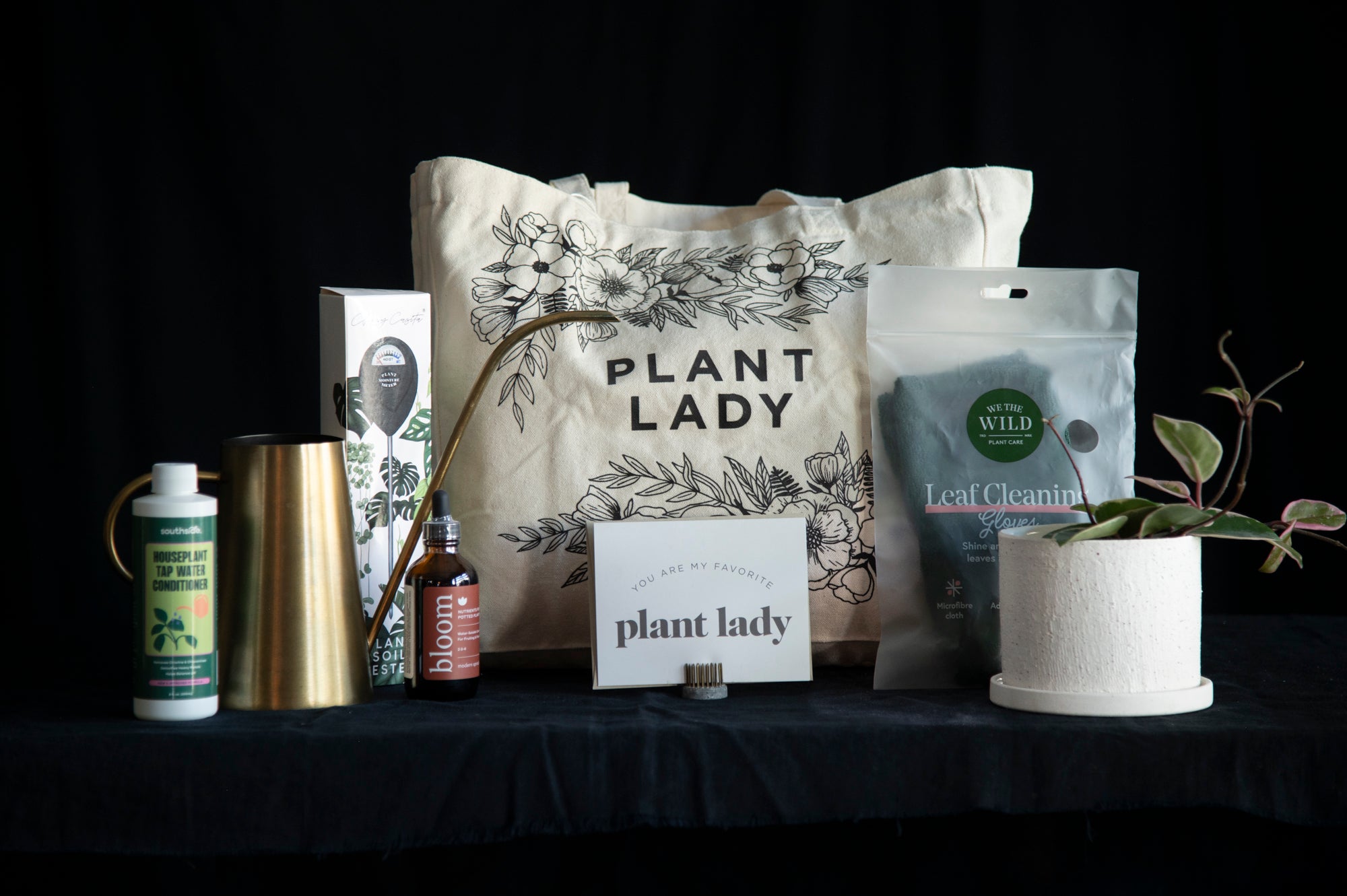 The ultimate gift for the plant lady - or houseplant fanatic. 