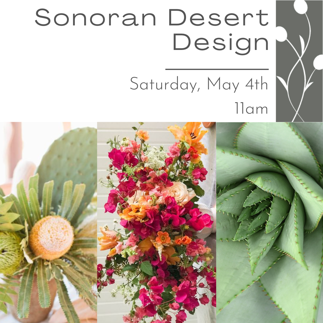 Sonoran Centerpiece May 4th