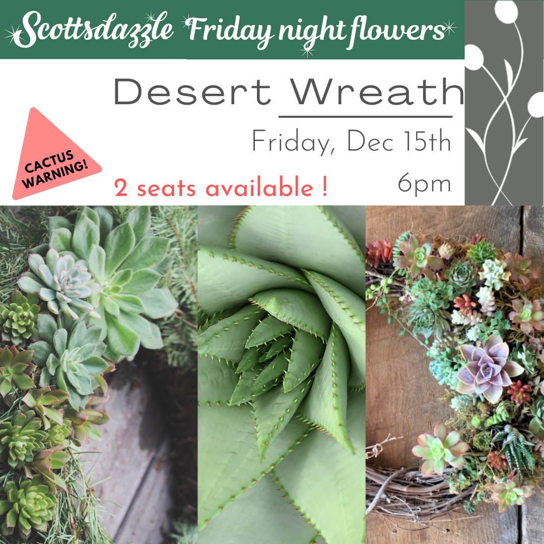 Workshop to create a holiday wreath with succulents