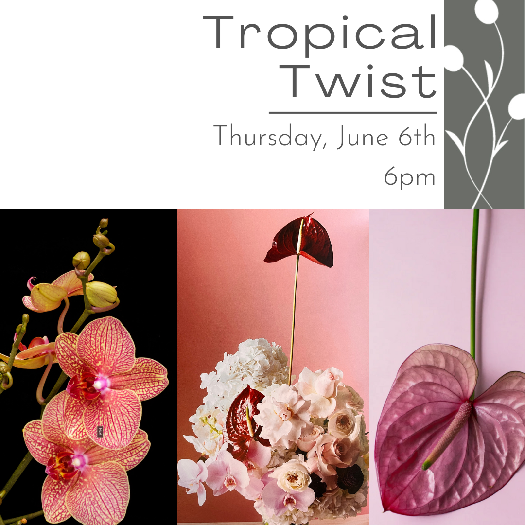 Tropical with a Twist June 6th