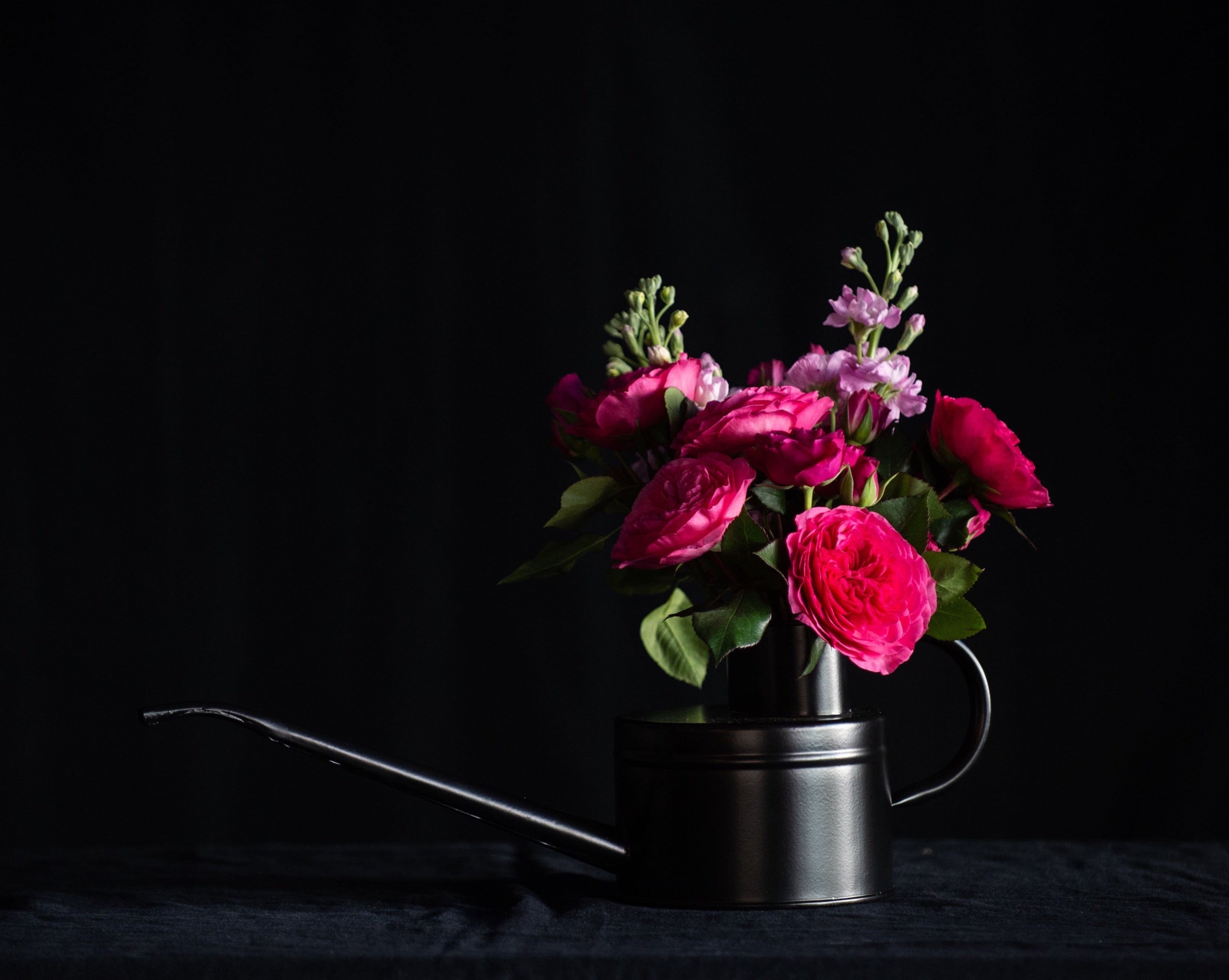 Valentines day flowers in a black watering can