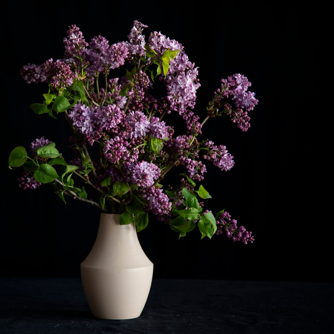 lilac in a vase