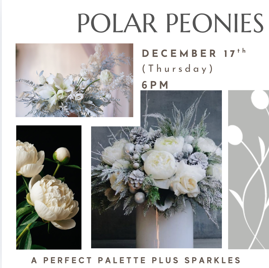 Polar Peonies Dec 17th
