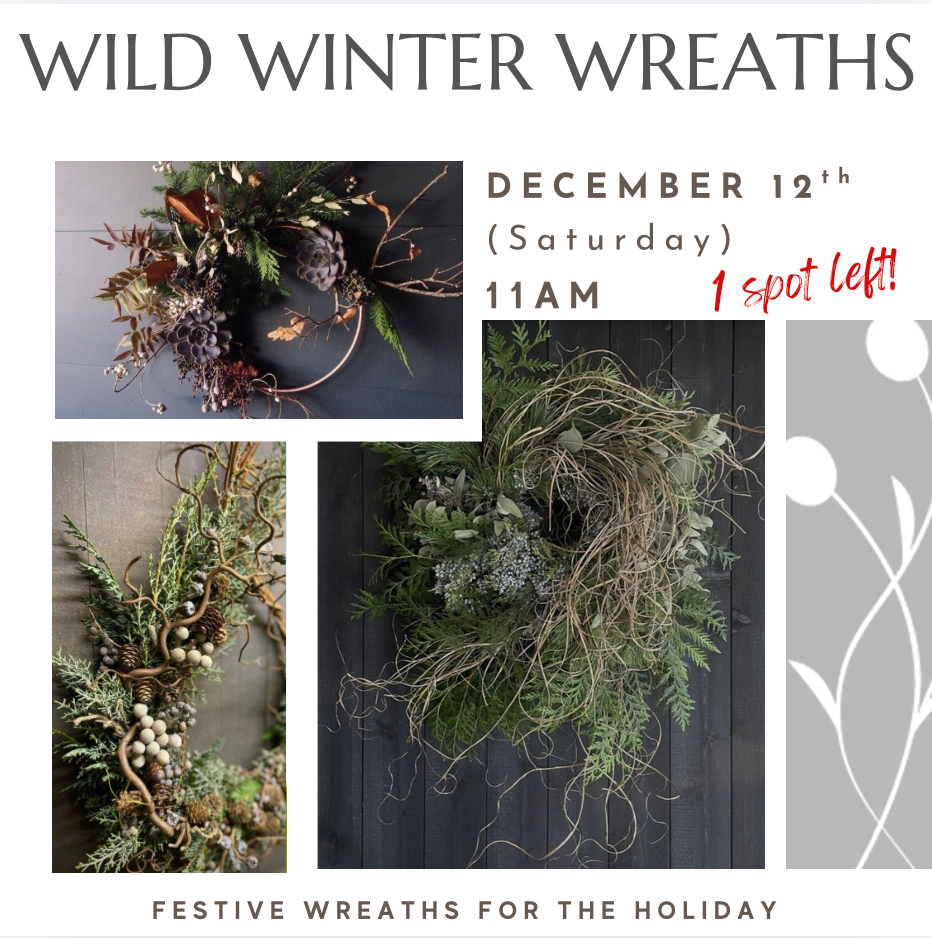 Workshop and make a wild festive winter wreath