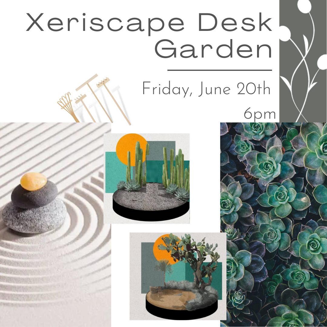 Workshop to create a desk size xeriscape desert desk garden with a sand feature to help your focus. 