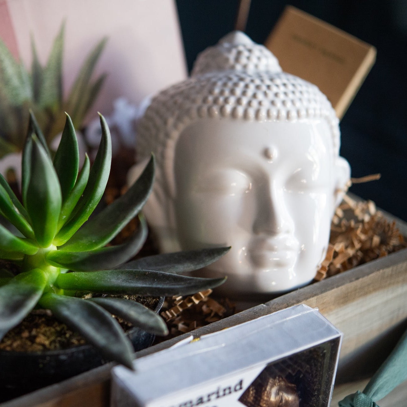 Zen Buddha inspired gift box with plant