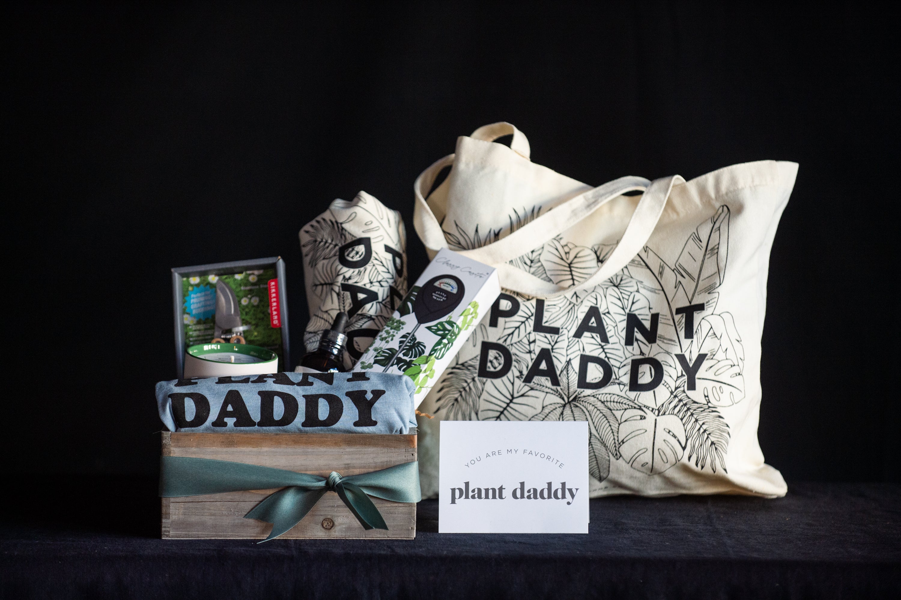 Plant Daddy gift set with plant and garden tools