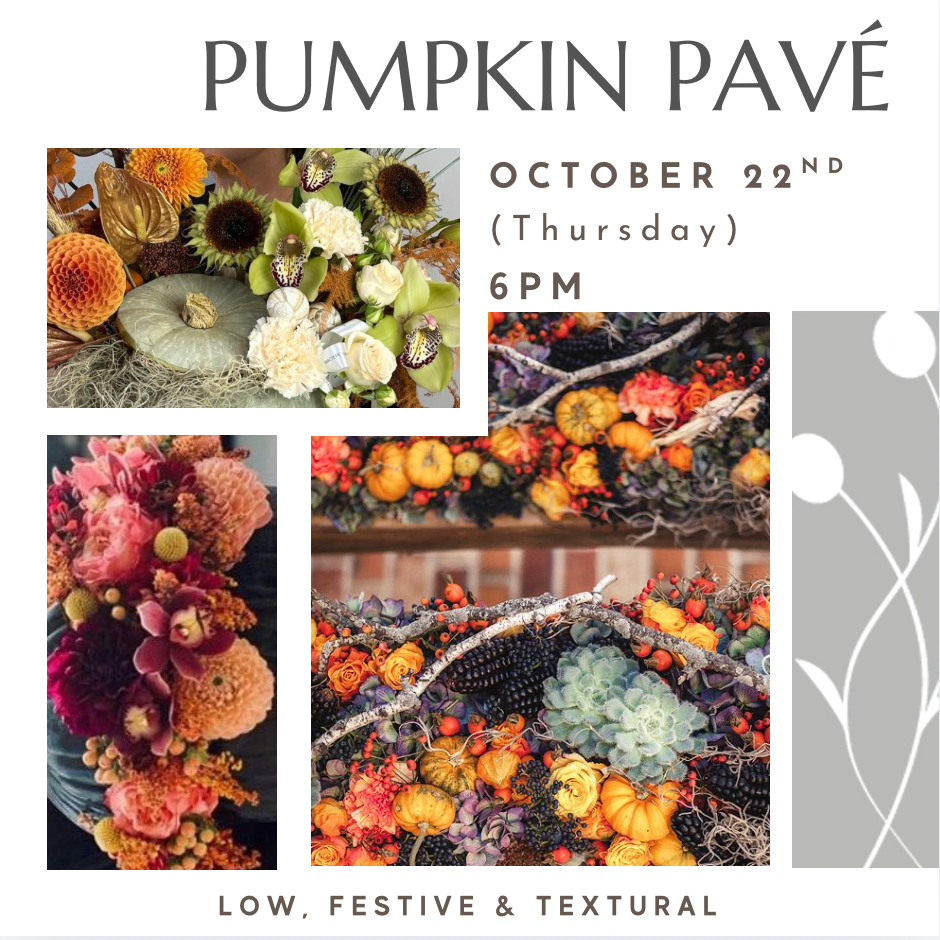 Pumpkin Pavé Oct 22nd