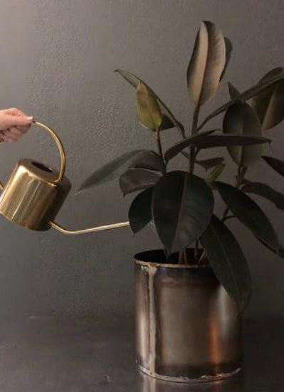 Gold Watering Can - Flower Bar