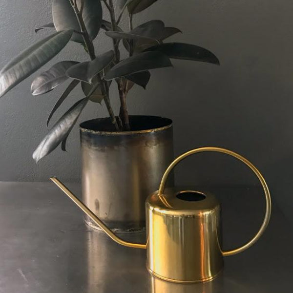 Gold Watering Can - Flower Bar