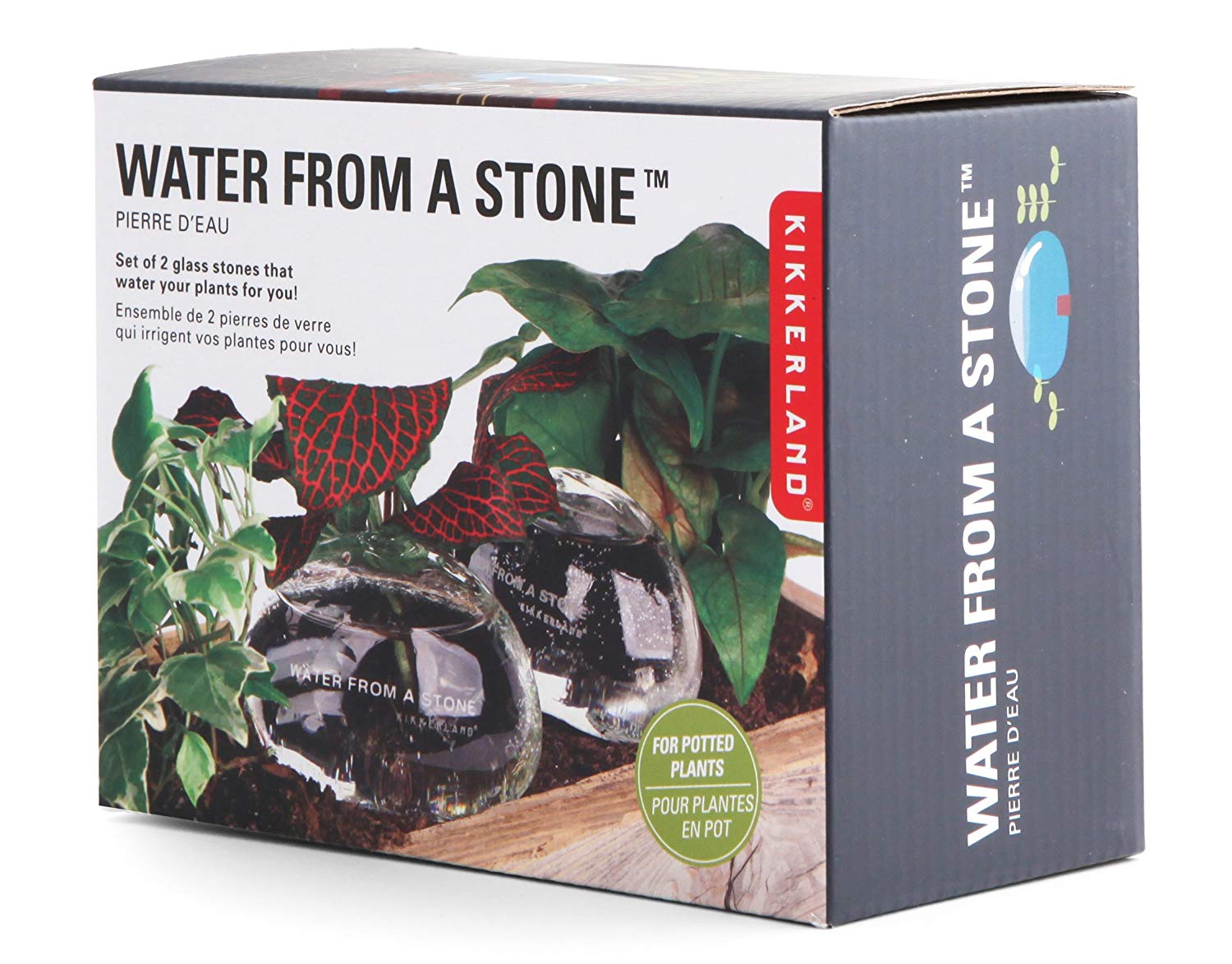 Water From A Stone - Flower Bar