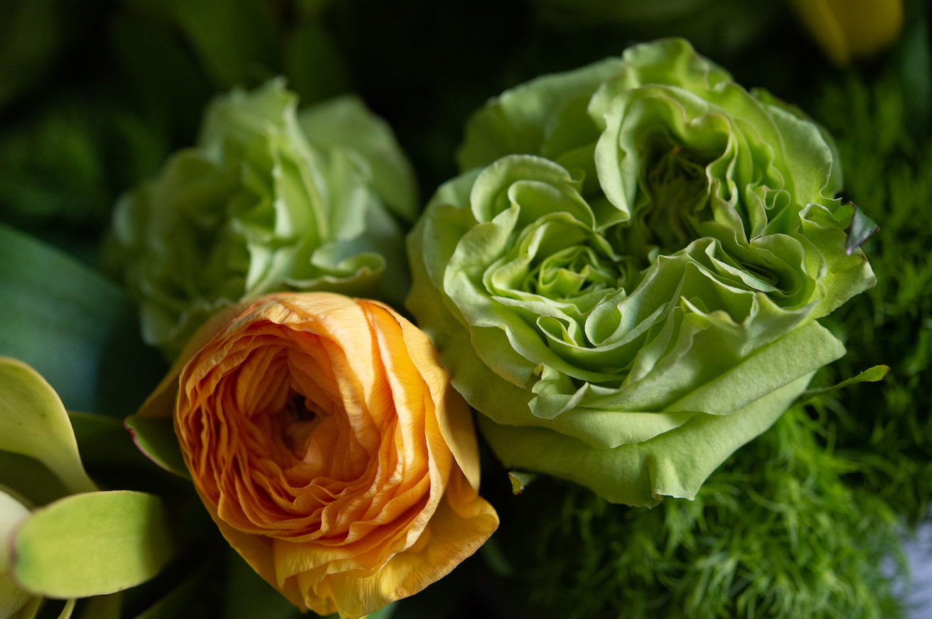 Green roses and ranunculus details 