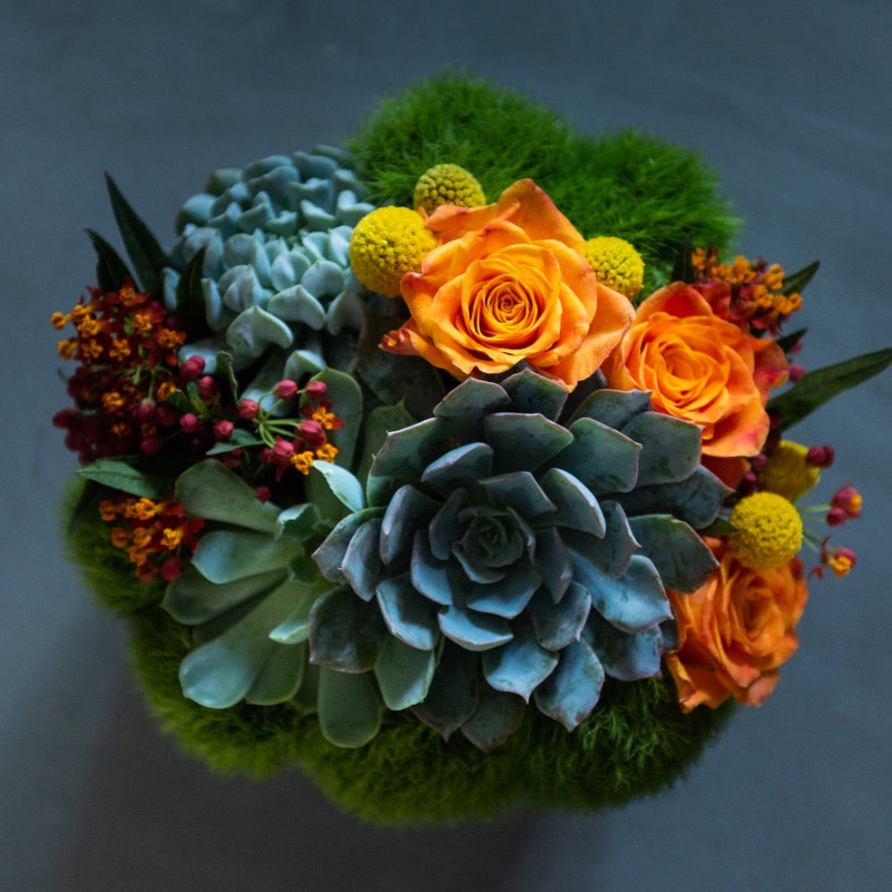 Orange Carrot Mimosa - Flower Bar