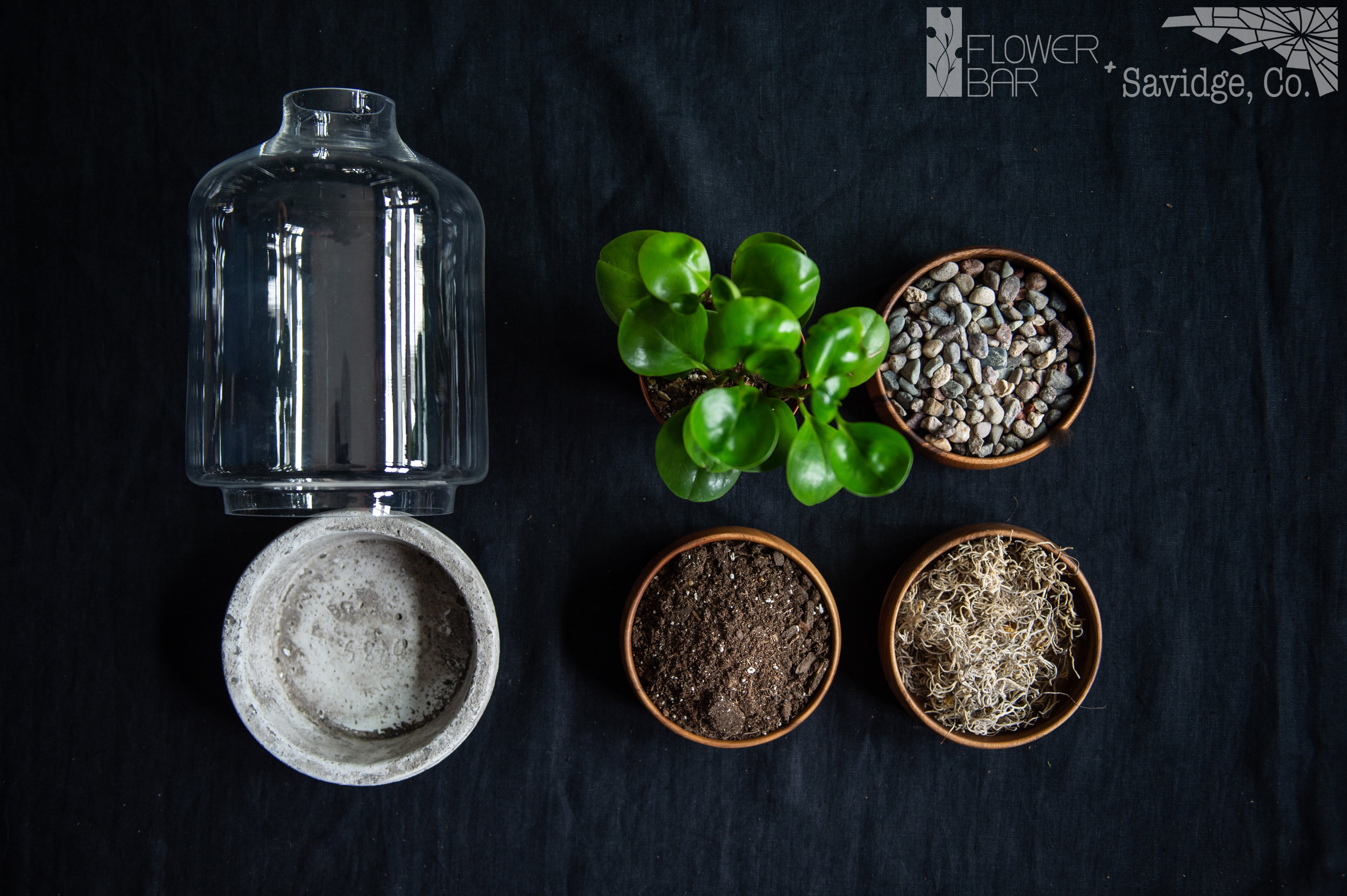 The Greenhouse Plant Project ingredients. Soil, moss, rocks, houseplant, and a glass terrarium