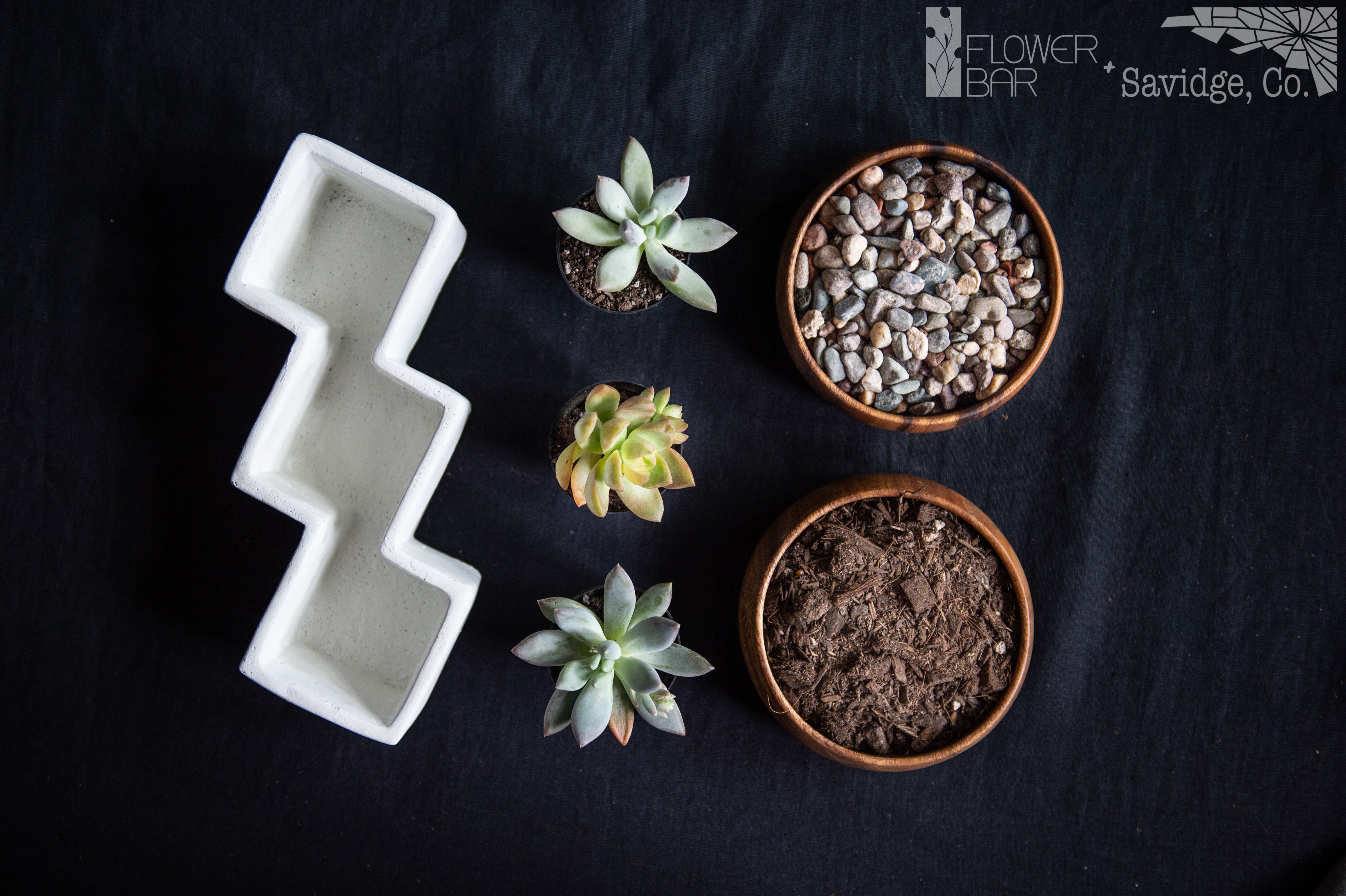The Museum Plant Project Ingredients. Soil, rocks, 3 cactus or succulents, and a white ceramic zig zag planter