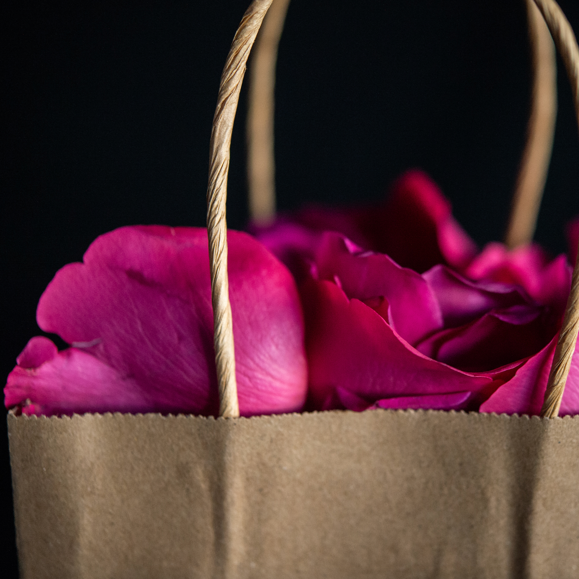 Rose petals for Valentine's Day