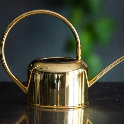 Gold Watering Can