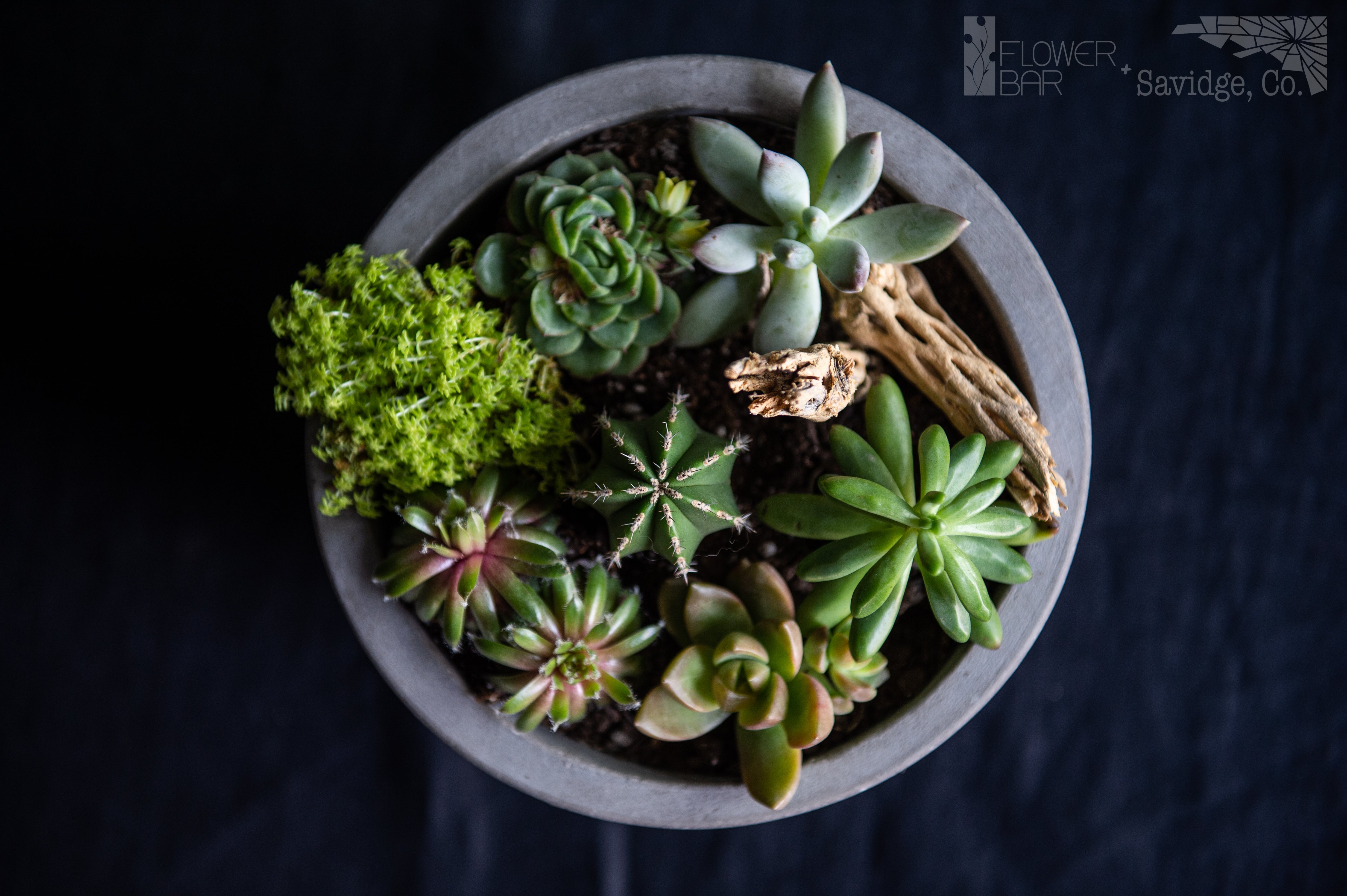 The Sonoran - Flower Bar