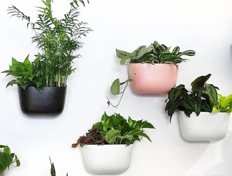 WallyGro Eco Wall Planter