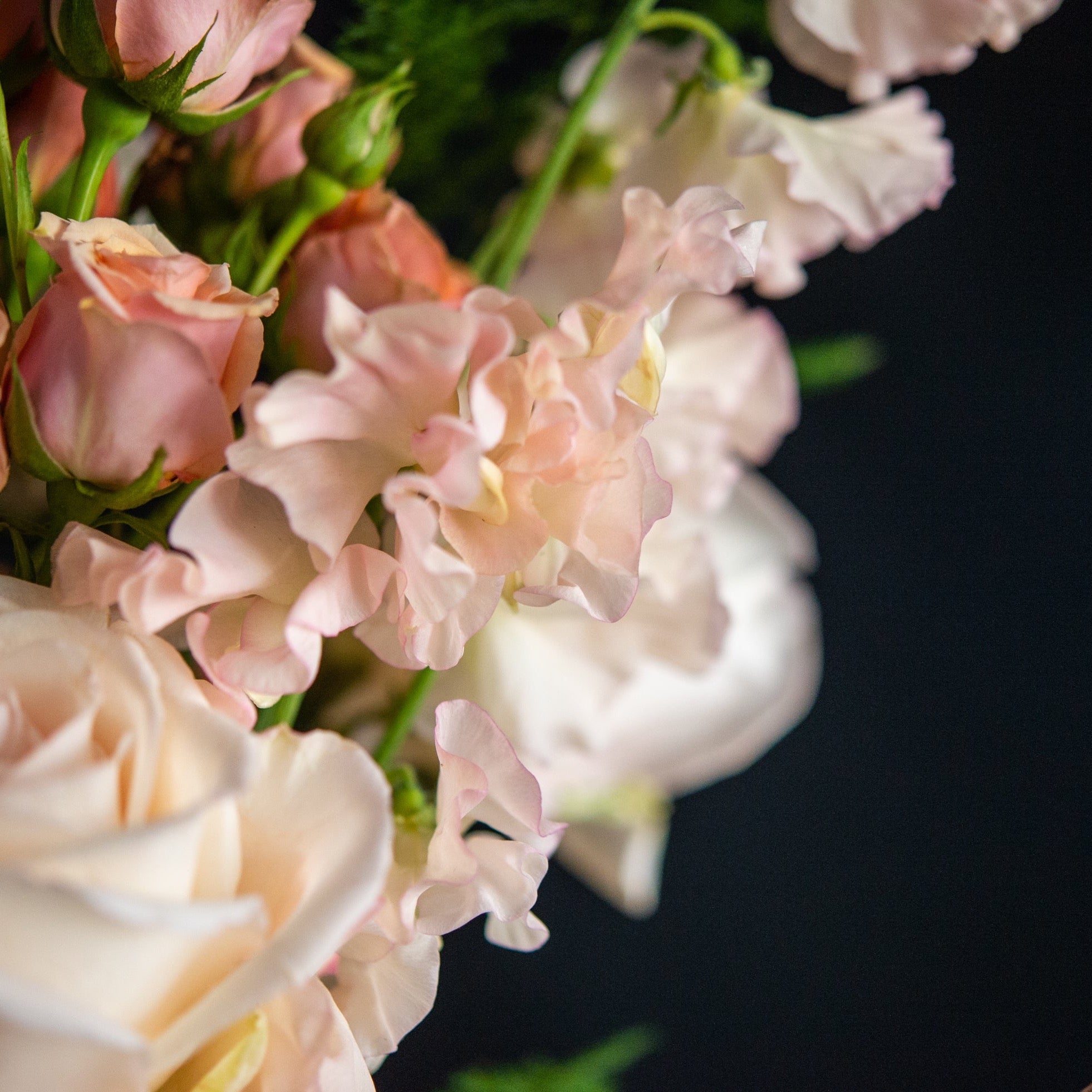 Spring sweet peas and roses