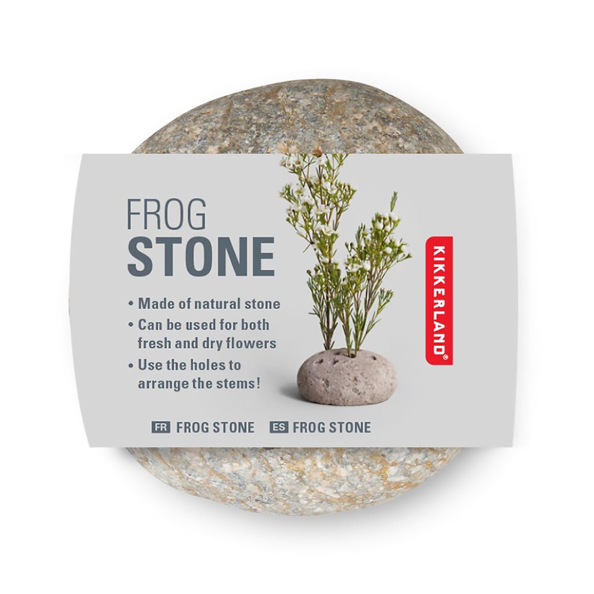 Frog Stone
