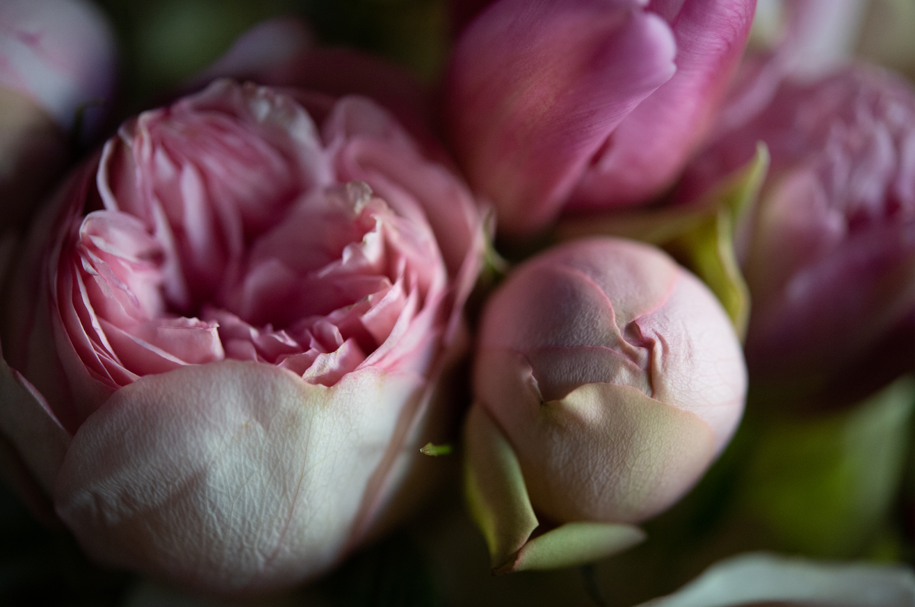 A dozen garden roses with hydrangea, roses and tulips for Valentine's Day  Edit alt text